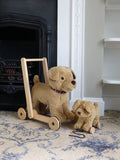 Little Bird Told Me Dexter Dog Pull Along - Madisons and Co