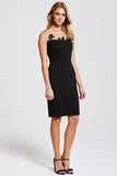 Paper Dolls Black Mesh Insert Wiggle Dress - Madisons and Co