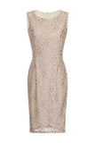 Paper Dolls Cream Lace Wiggle Dress - Madisons and Co