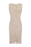 Paper Dolls Cream Lace Wiggle Dress - Madisons and Co