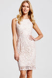 Paper Dolls Cream Lace Wiggle Dress - Madisons and Co