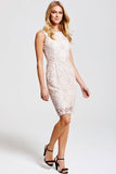 Paper Dolls Cream Lace Wiggle Dress - Madisons and Co