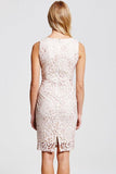 Paper Dolls Cream Lace Wiggle Dress - Madisons and Co